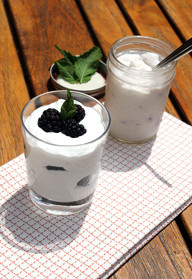Coconut Cream Yogurt | Shared via iqyxmeyx.top